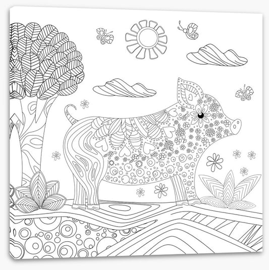 Colour me piglet