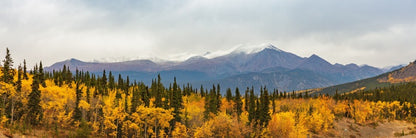 North America