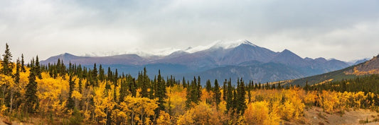 North America