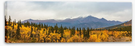 North America