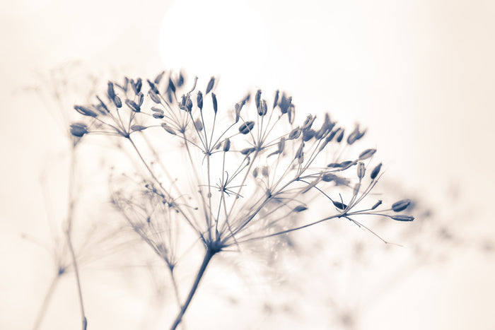 A fresh start