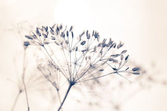 A fresh start