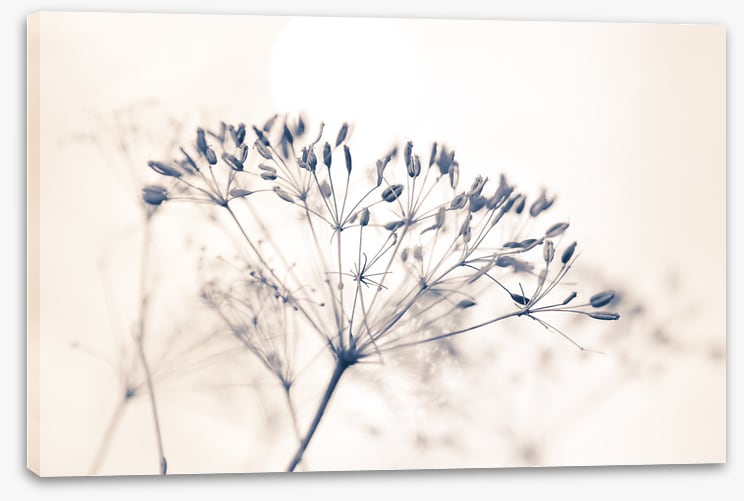 A fresh start