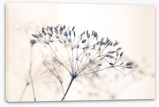 A fresh start