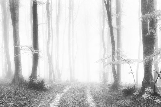 Into the ether