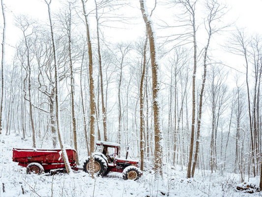 Winter