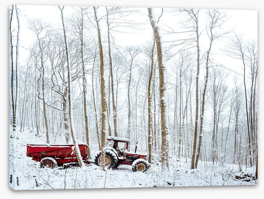 Winter