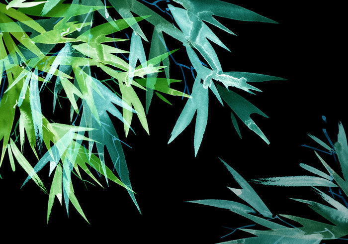 Leaves of the night
