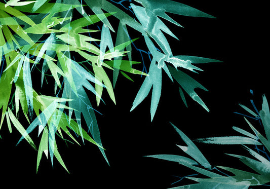 Leaves of the night