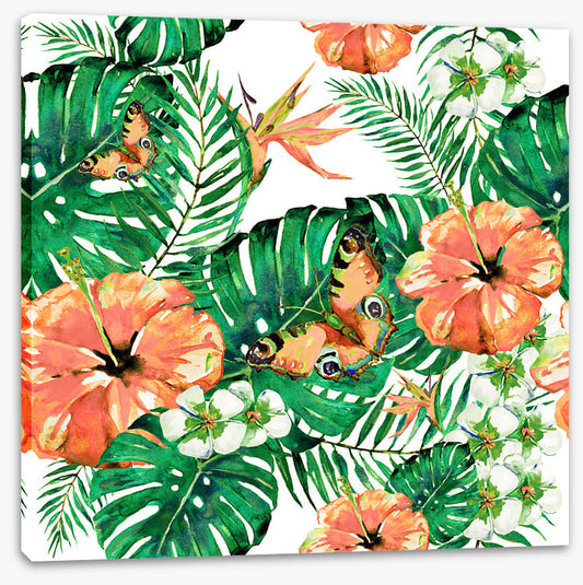 Aloha butterflies