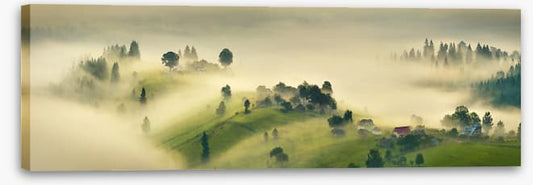 A misty morning