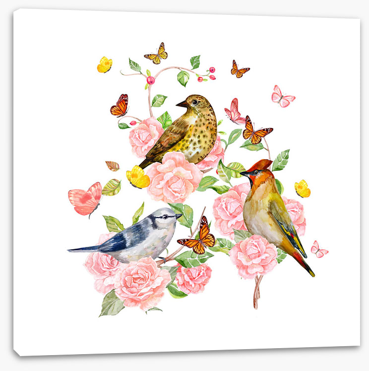 Songbird trio