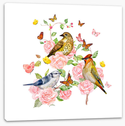 Songbird trio