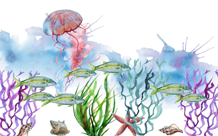 Seaweed shoal