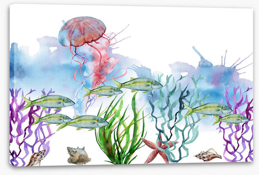 Seaweed shoal