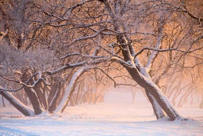 Leaning into winter