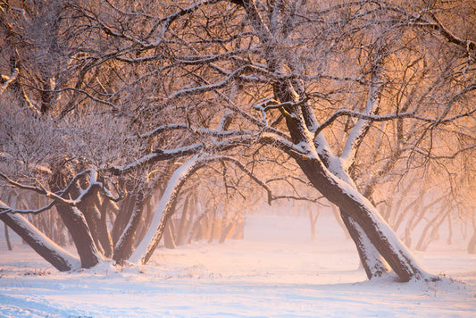 Leaning into winter