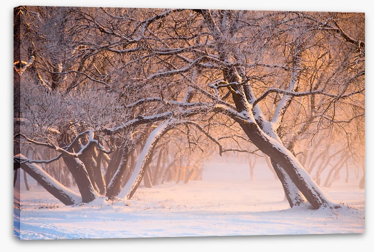 Leaning into winter