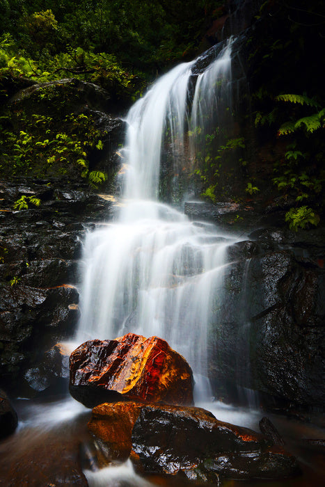 Fallen gold