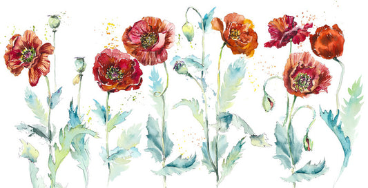 Seven poppies