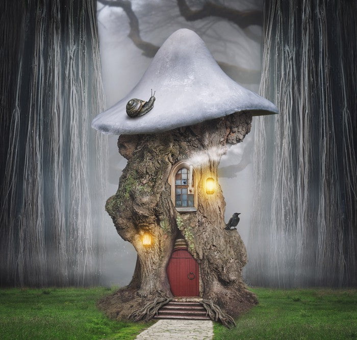 To the forest realm