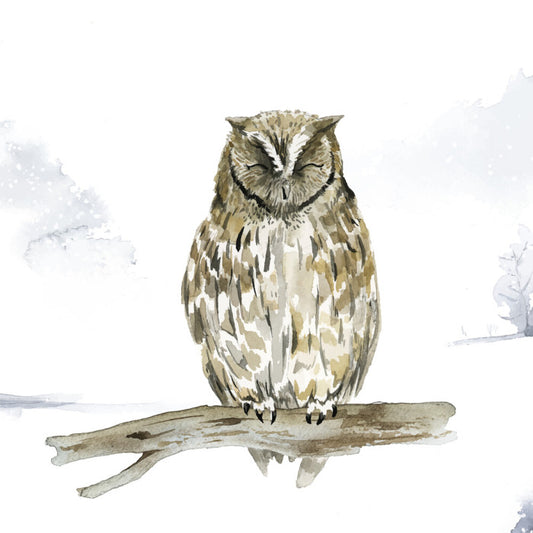 Sleepy in the snow