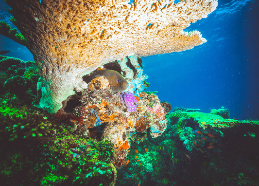 Underwater