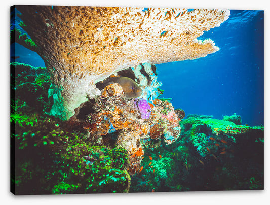 Underwater