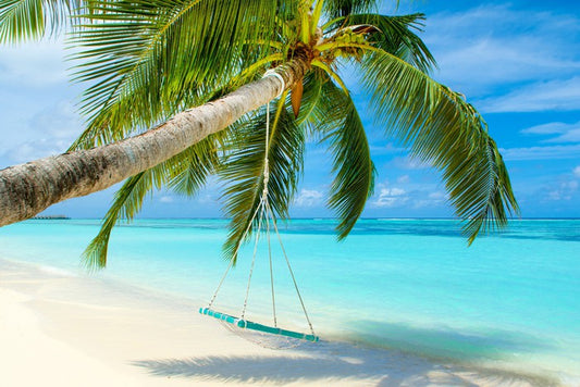 Swing by the sea