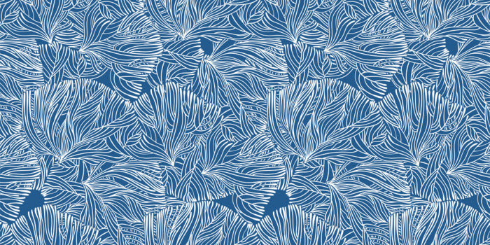 Calm in the coral