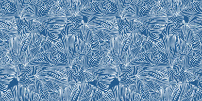 Calm in the coral