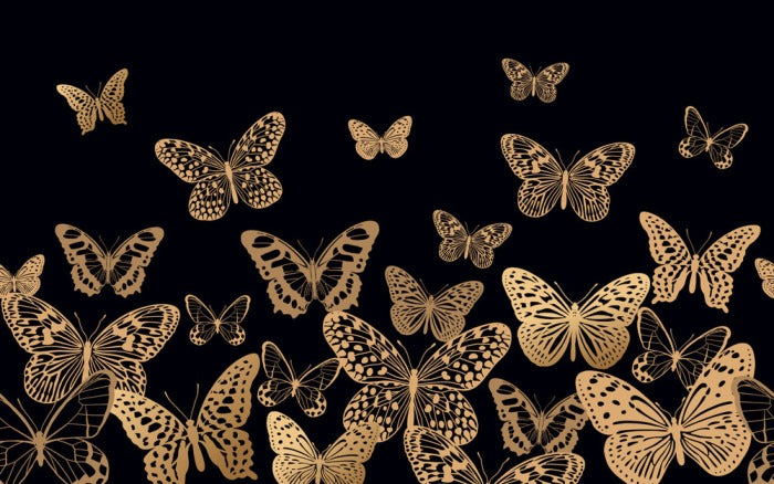 Fly by night