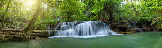 Jungle falls panorama