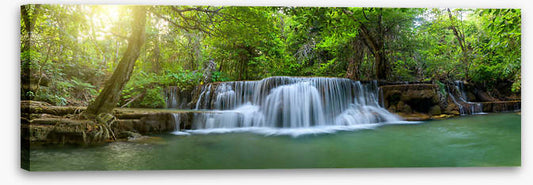 Jungle falls panorama