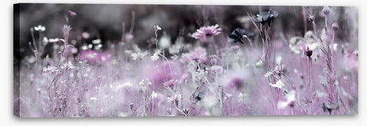Purple haze