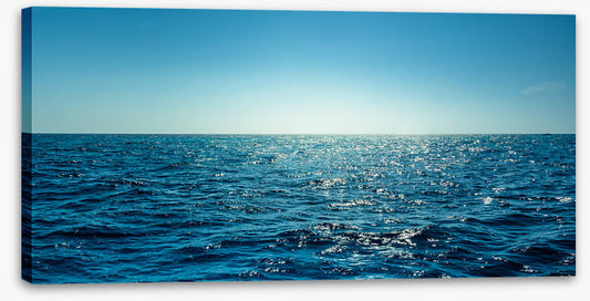 The open ocean