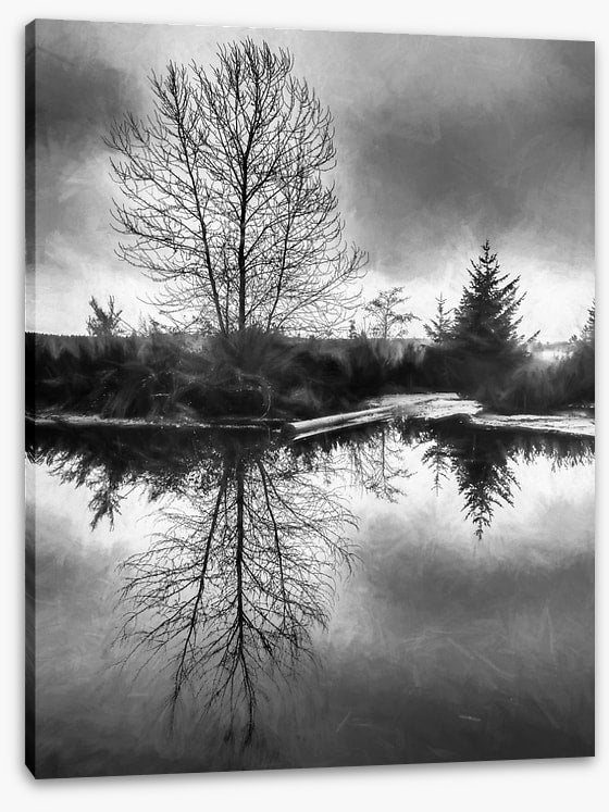 A monochrome morning