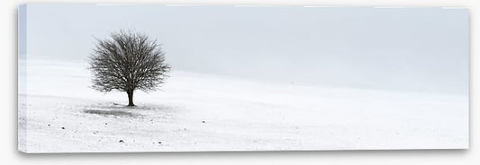 Solo in the snow