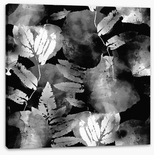 A leafy night