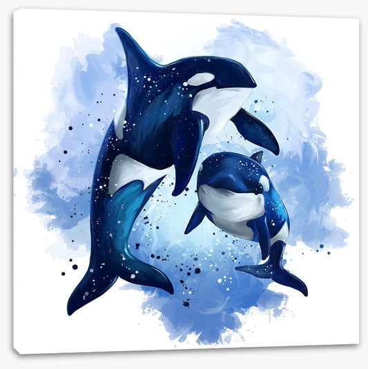 Two blue orcas