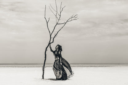 The tribal tree