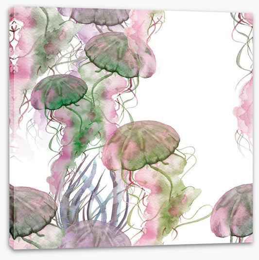 Jellyfish blush