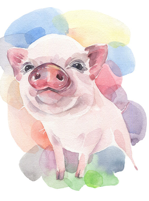 Pastel piggy