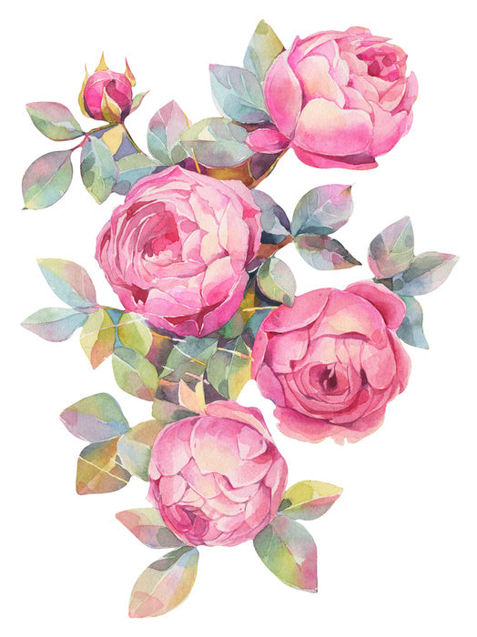 Pretty as a rose