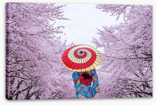 Spring