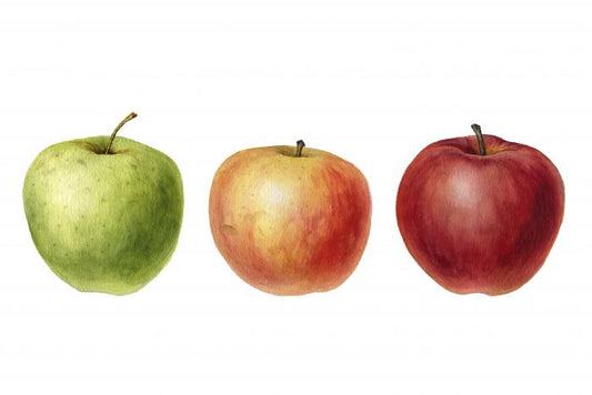 Ready go apples