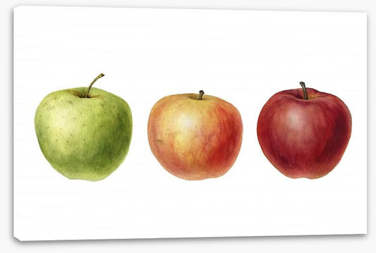 Ready go apples