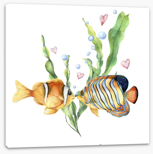 Seaweed sentiment