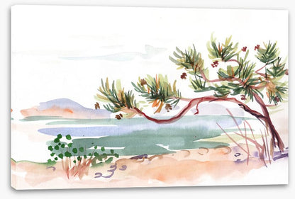 Pine by the sea