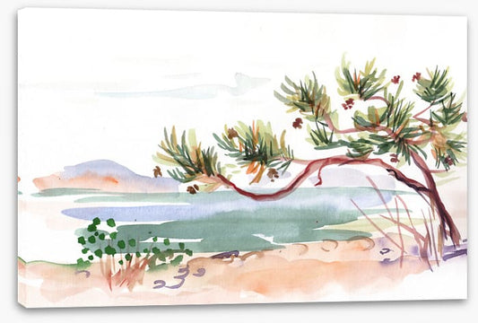 Pine by the sea